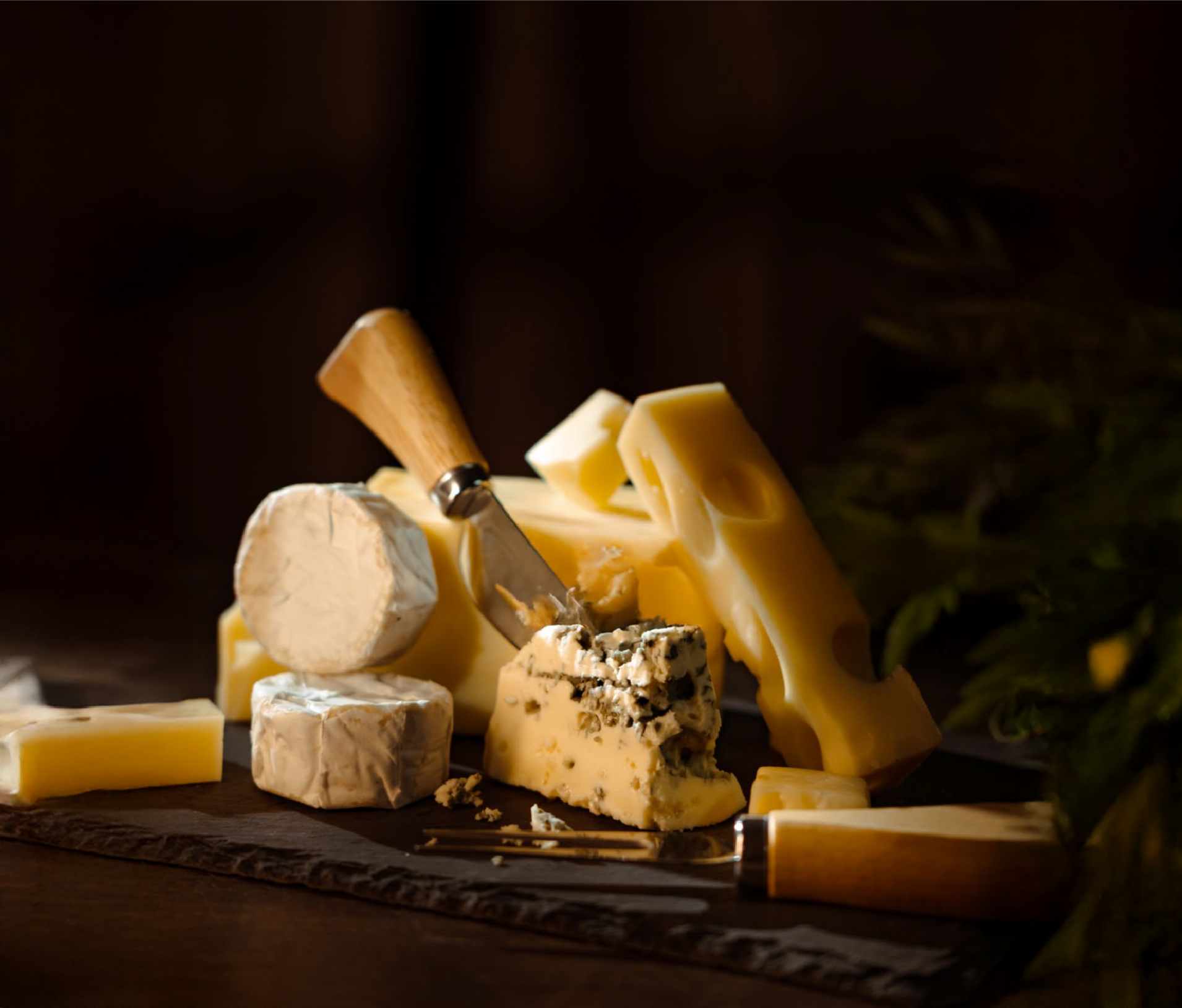 Cómo maridar vino y queso sin ser experto